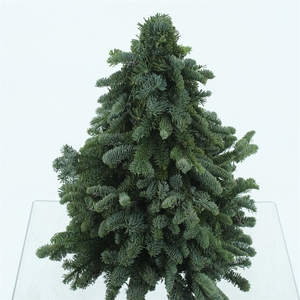 Nobilis Kerstboom 30cm Extra