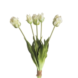 AF Tulip Parrot x5 L40cm Wh/Gr