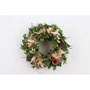 Wr Feathers Rooster 30cm No216