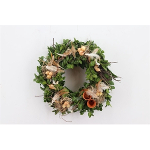 Wr Feathers Rooster 30cm No216