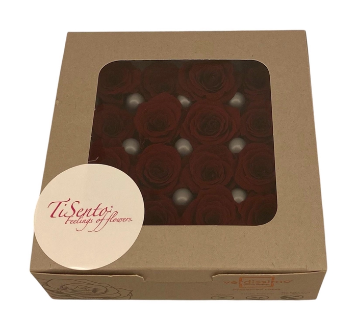 <h4>ARR ROSA POT H%</h4>