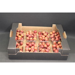F Appel Malus Rood X8