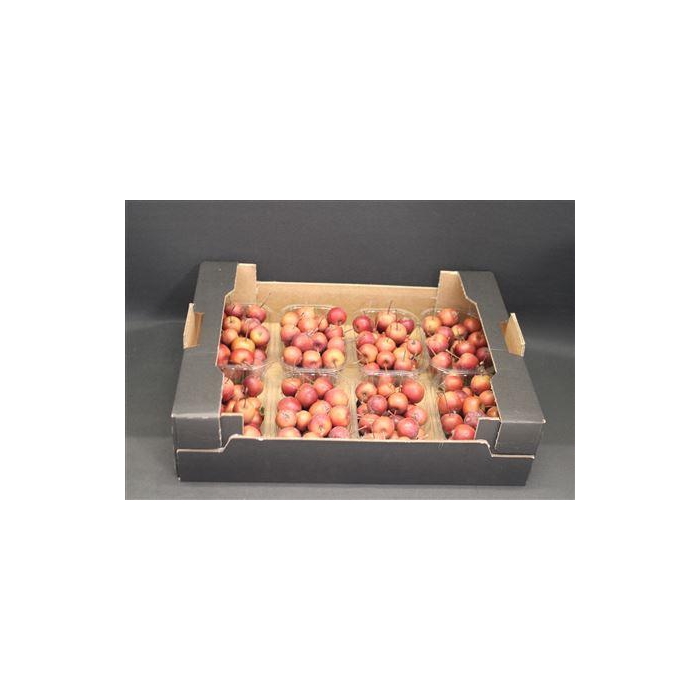 <h4>F Appel Malus Rood X8</h4>