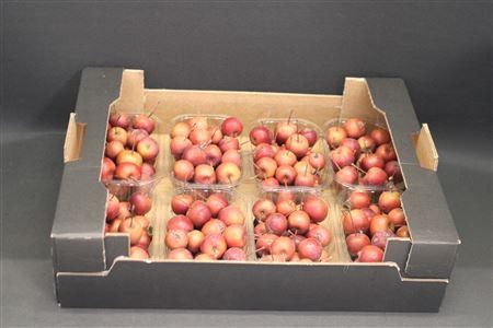 F Appel Malus Rood X8