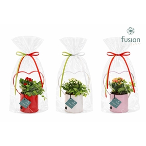 Led planter zink HartvormSmall met arrangement in klaphoes