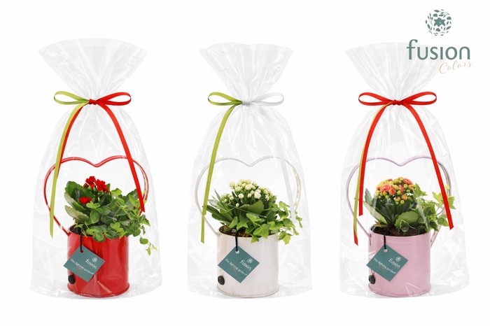 <h4>Led planter zink HartvormSmall met arrangement in klaphoes</h4>