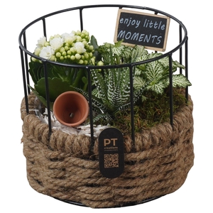 5274 X2 WIT MAND+REK