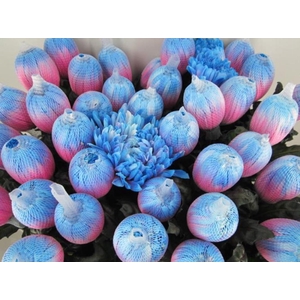Chr G Antonov Bubblegum
