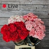 Di St Gemengd In Fust