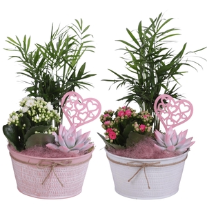 Mothersday Arr. Indoor Zinc Pot Round Pink/White Ø17cm 3PP