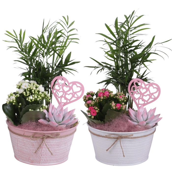 <h4>Mothersday Arr. Indoor Zinc Pot Round Pink/White Ø17cm 3PP</h4>