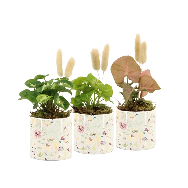<h4>11498: Raw Beauty arrangement</h4>