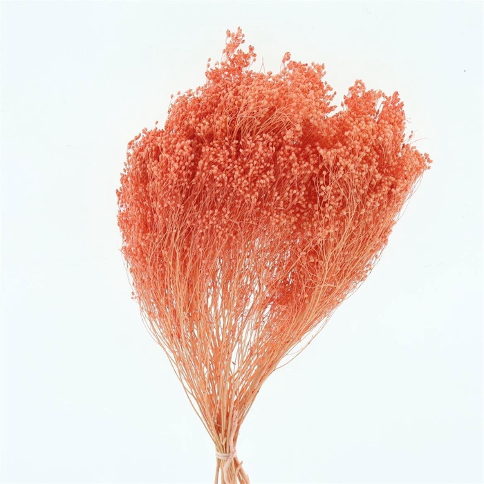 <h4>DROOGBL BEWERKT H%</h4>
