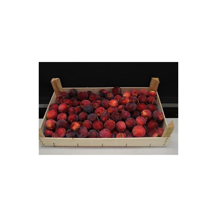 <h4>F Appel Rood 5kg</h4>