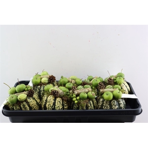 Sier Cuc P Opgemaakt Wit Groen X8