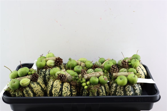 <h4>Sier Cuc P Opgemaakt Wit Groen X8</h4>