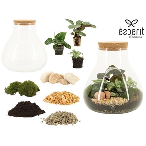 90856: DIY Terrarium XL Erlenmeyer D22 / H23