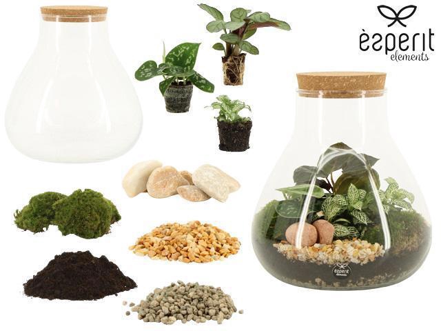 <h4>90856: DIY Terrarium XL Erlenmeyer D22 / H23</h4>