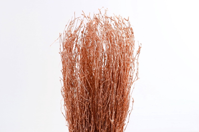 <h4>Berk Klb Copper</h4>
