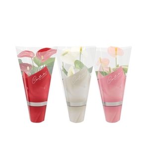Anthurium 7 cm 3 color mix in Couture sleeve