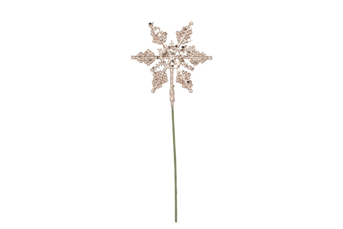 <h4>Pick Shine Snowflake Cozy Champagne 25cm Per 24</h4>