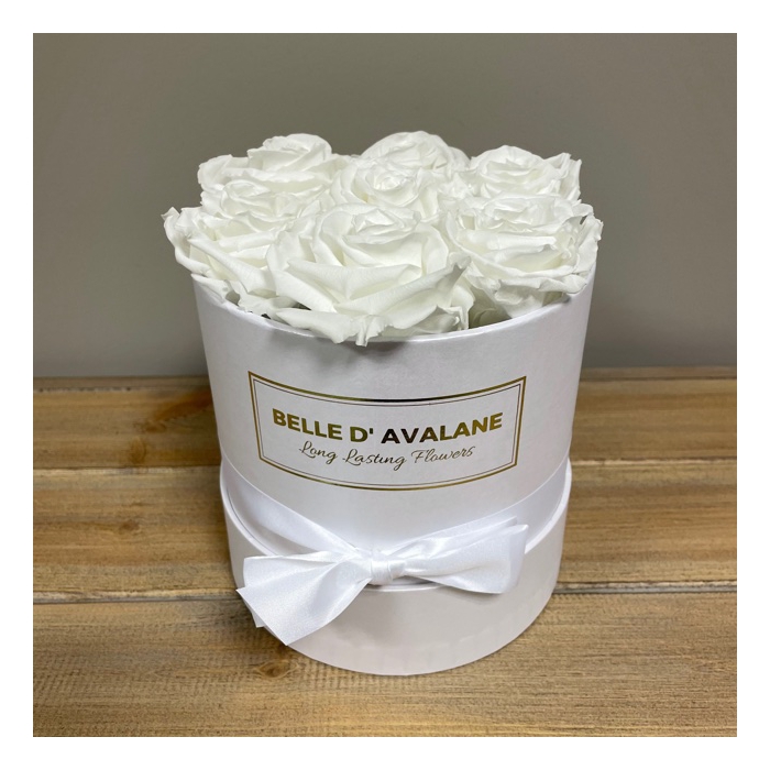 <h4>Box rd 15cm wit-wit</h4>