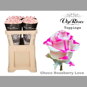 R GR CHOCO ROSEBERRY LOVE  x 20