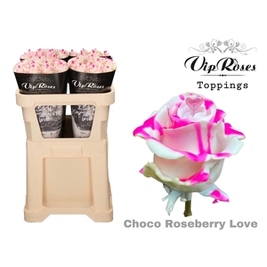 R GR CHOCO ROSEBERRY LOVE  x 20