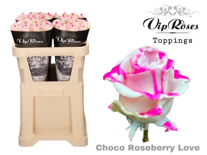 <h4>R GR CHOCO ROSEBERRY LOVE  x 20</h4>