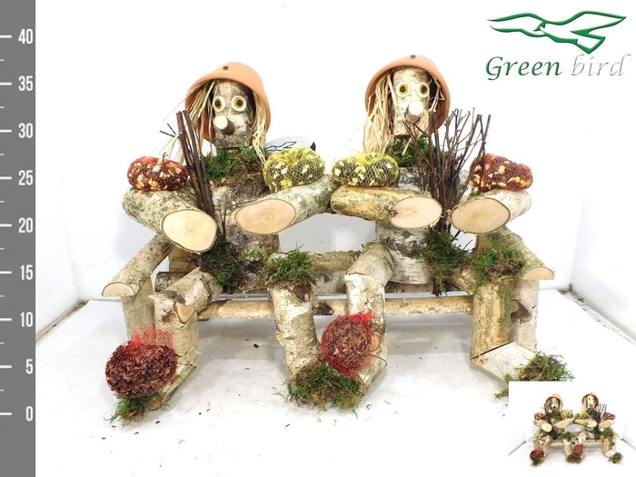 <h4>VOGELZ FIGUUR H%</h4>