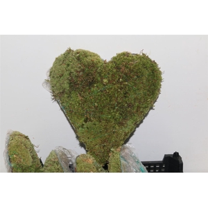 Bolmos Hart Staand Large