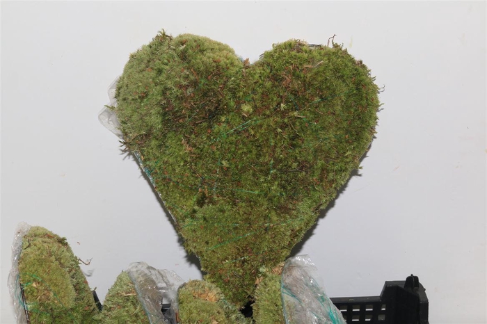 <h4>Bolmos Hart Staand Large</h4>