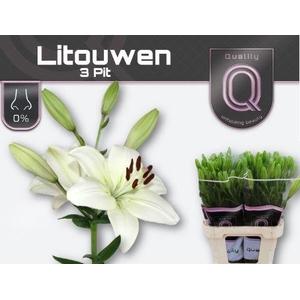 LI LA LITOUWEN