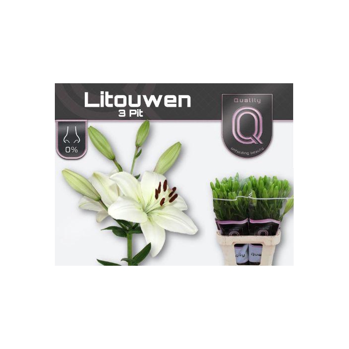 <h4>Li La Litouwen</h4>