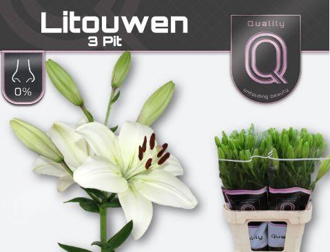 <h4>LI LA LITOUWEN 3pit</h4>