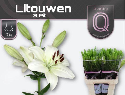 <h4>LI LA LITOUWEN 3pit</h4>