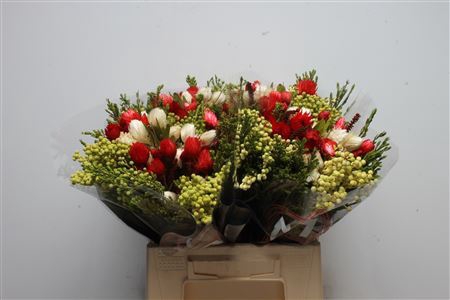 <h4>Protea overig</h4>