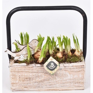 Hout rechthoek met hendel 26x11cm