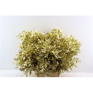 Pistache L50 Metallic Gold