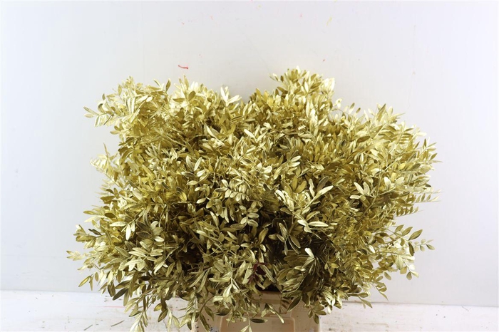 <h4>Pistache L50 Metallic Gold</h4>