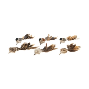 Bird Paradise 6pcs L26W5H6