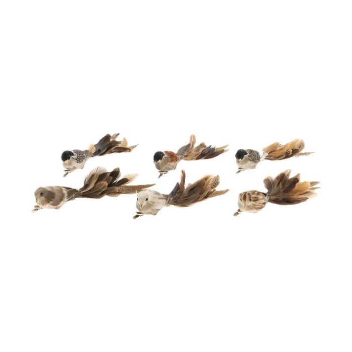 <h4>Bird Paradise 6pcs L26W5H6</h4>
