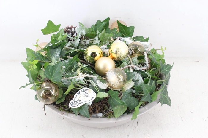 <h4>arr2 PL - Zink creme hed. goud LED ball</h4>