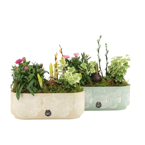 11686: Outdoor spring arrangement