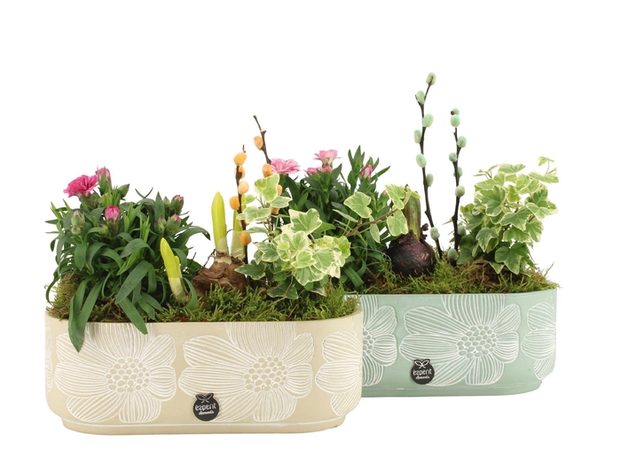 <h4>11686: Outdoor spring arrangement</h4>