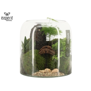 90630: Landscape arrangement