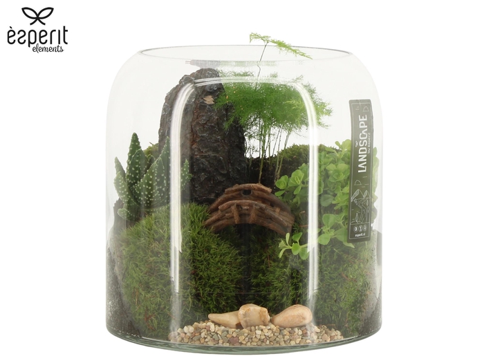 <h4>90630: Landscape arrangement</h4>