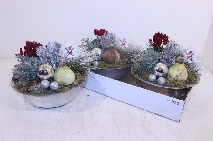 <h4>ARR HIPPEASTRUM</h4>