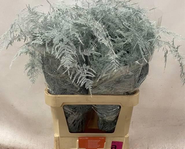 <h4>ASP OV KLB H%</h4>