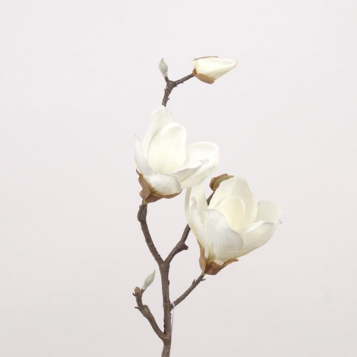 <h4>AF Magnolia L41cm white</h4>